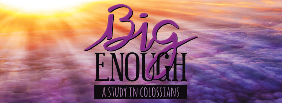 Big Enough Bible Study Women of Stonebriar Frisco Texas